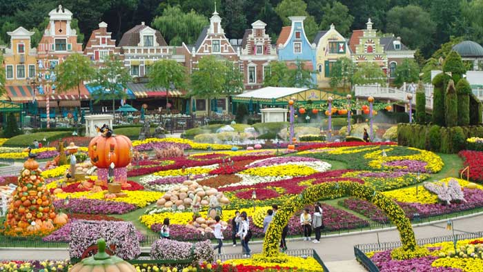 Tour Hàn Quốc - Everland