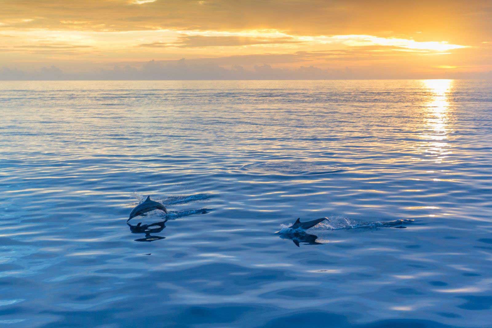 Tour du lịch Maldives - Ngắm hoàng hôn cùng thưởng thức vẻ đẹp của biển