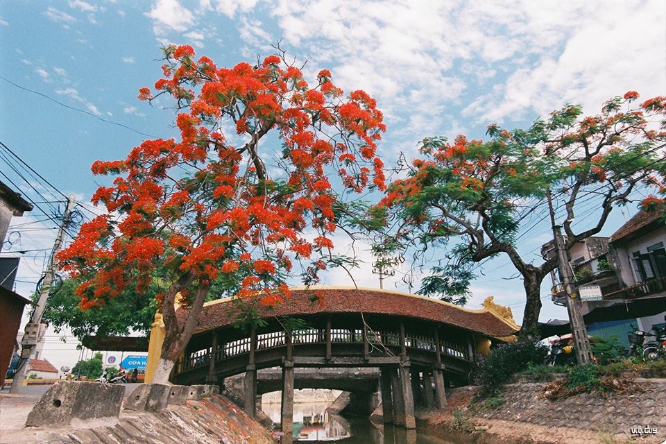 Tour miền Bắc - Một góc Hà Nội chiều mùa hạ