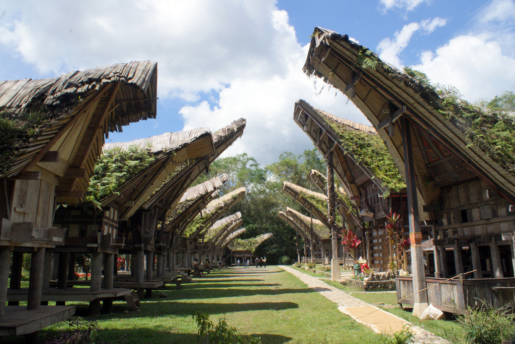 Những ngôi nhà ở Torajaland có thiết kế phần mái vừa độc đáo, vừa ấn tượng. tour du lich Indonesia.