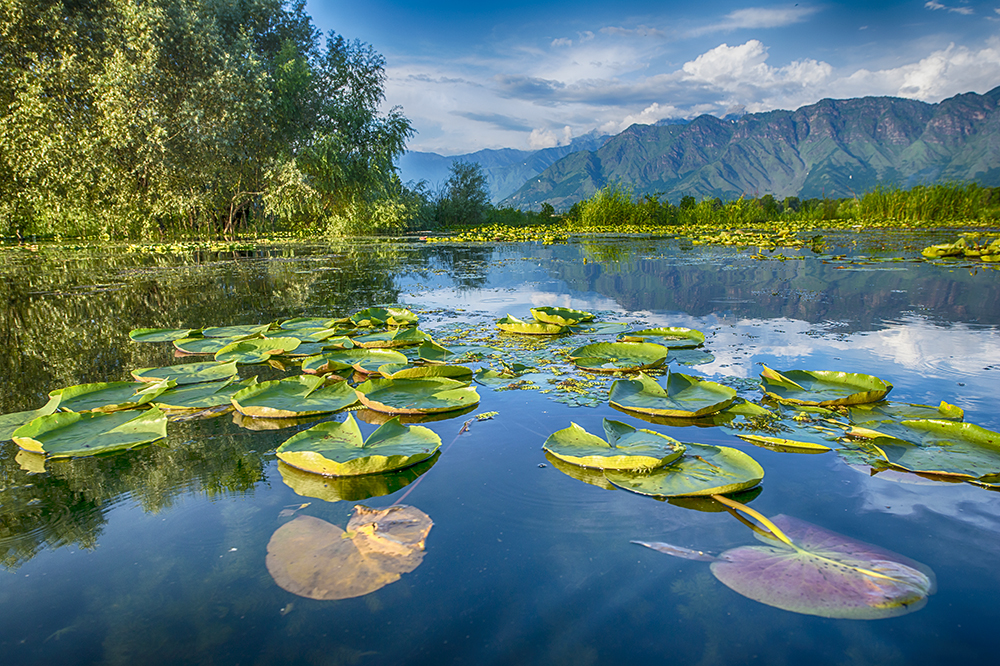 Nếu được gọi tên thiên đường hạ giói, bạn nhất định phải thăm Kashmir khi đi tour du lịch Ấn Độ.