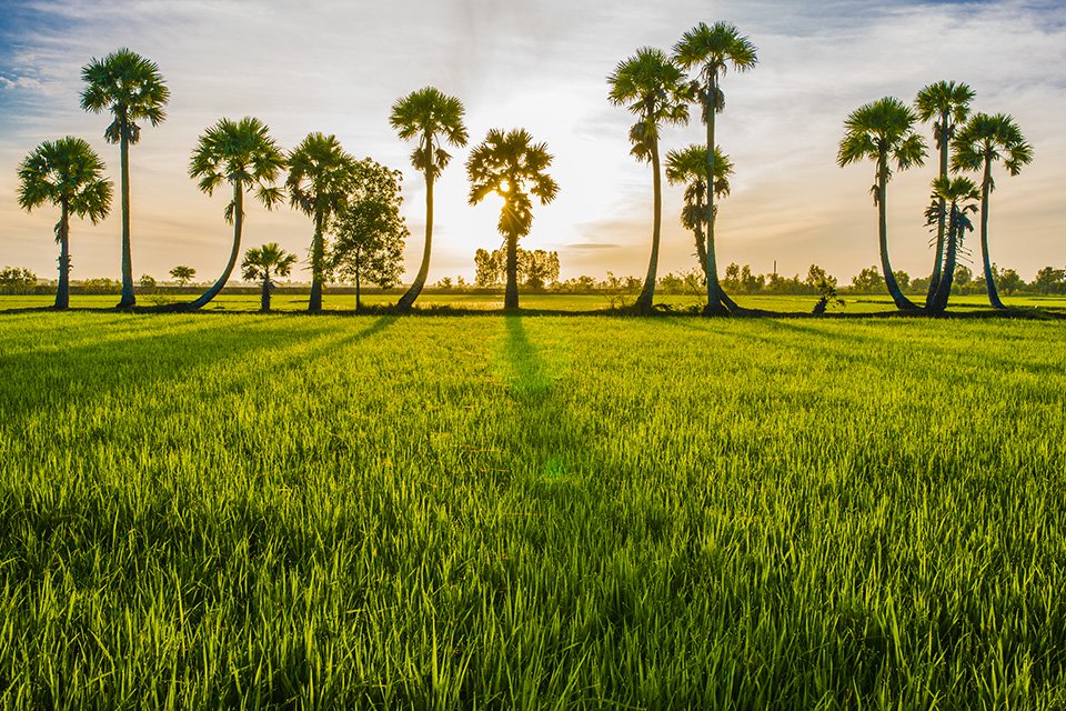 Du lịch An Giang sẽ mang lại những trải nghiệm tuyệt vời về miền Tây sông nước. 