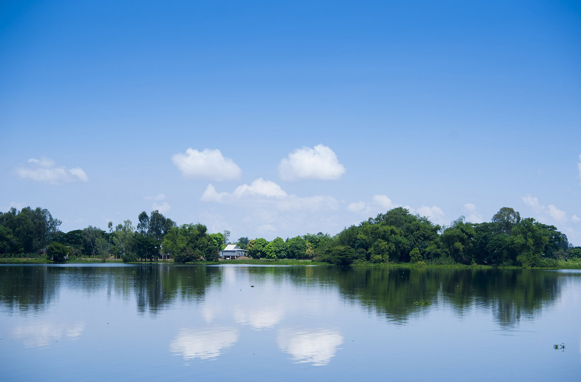 Búng Bình Thiên bảng lảng đậm chất thơ. Tour du lịch An Giang.