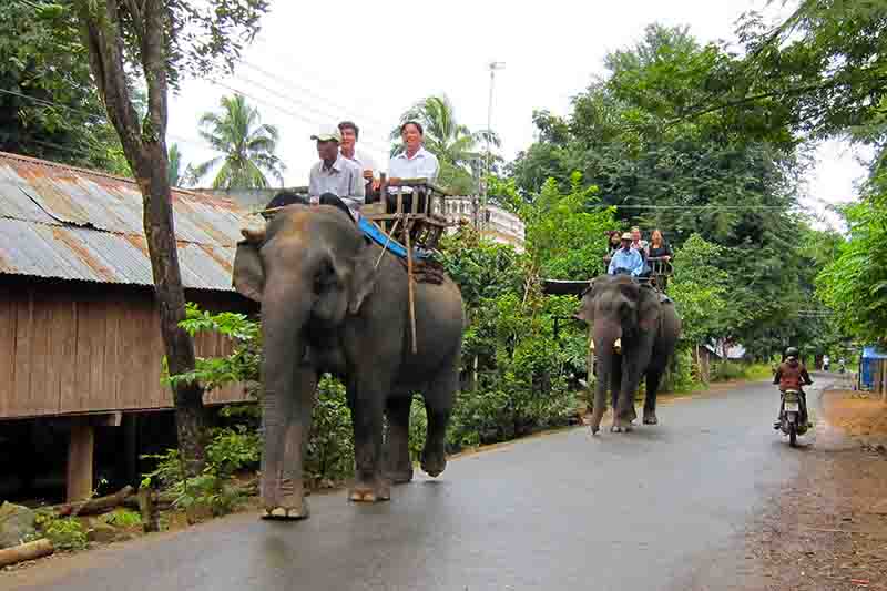 Đi tour Buôn Ma Thuột đến Buôn Đôn, bạn còn được cưỡi voi nữa đấy. 