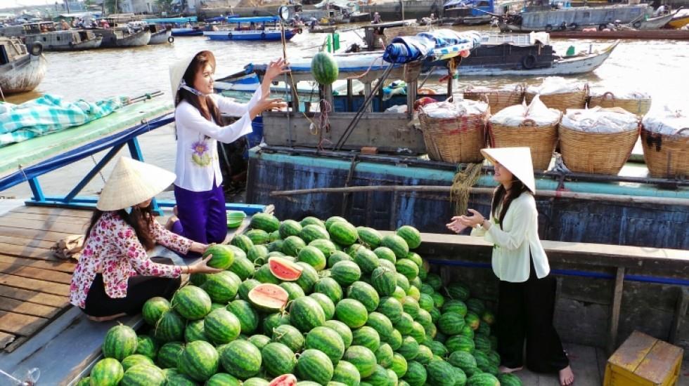 Đi tour Cần Thơ, bạn phải một lần ghé chợ nổi Cái Răng để cảm nhận nhịp sống tươi vui, nhộp nhịp của nó. 