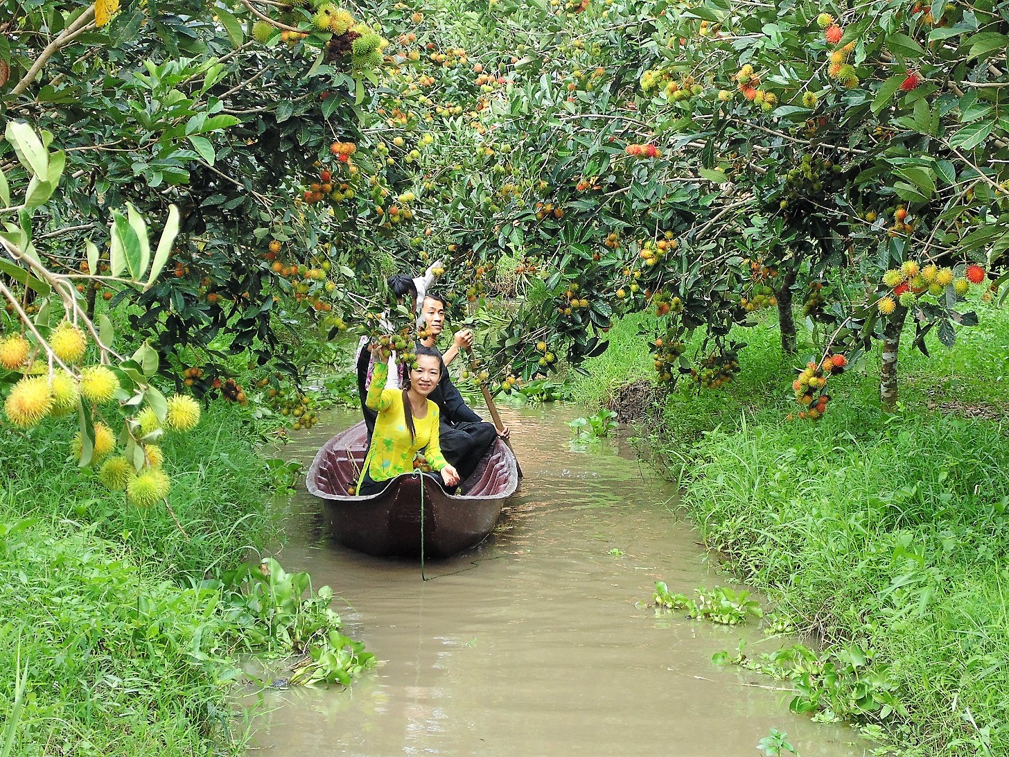 Đã đi tour Cần Thơ thì phải đến khu du lịch sinh thái Mỹ Khánh để đắm chìm vào không gian miệt vườn. 