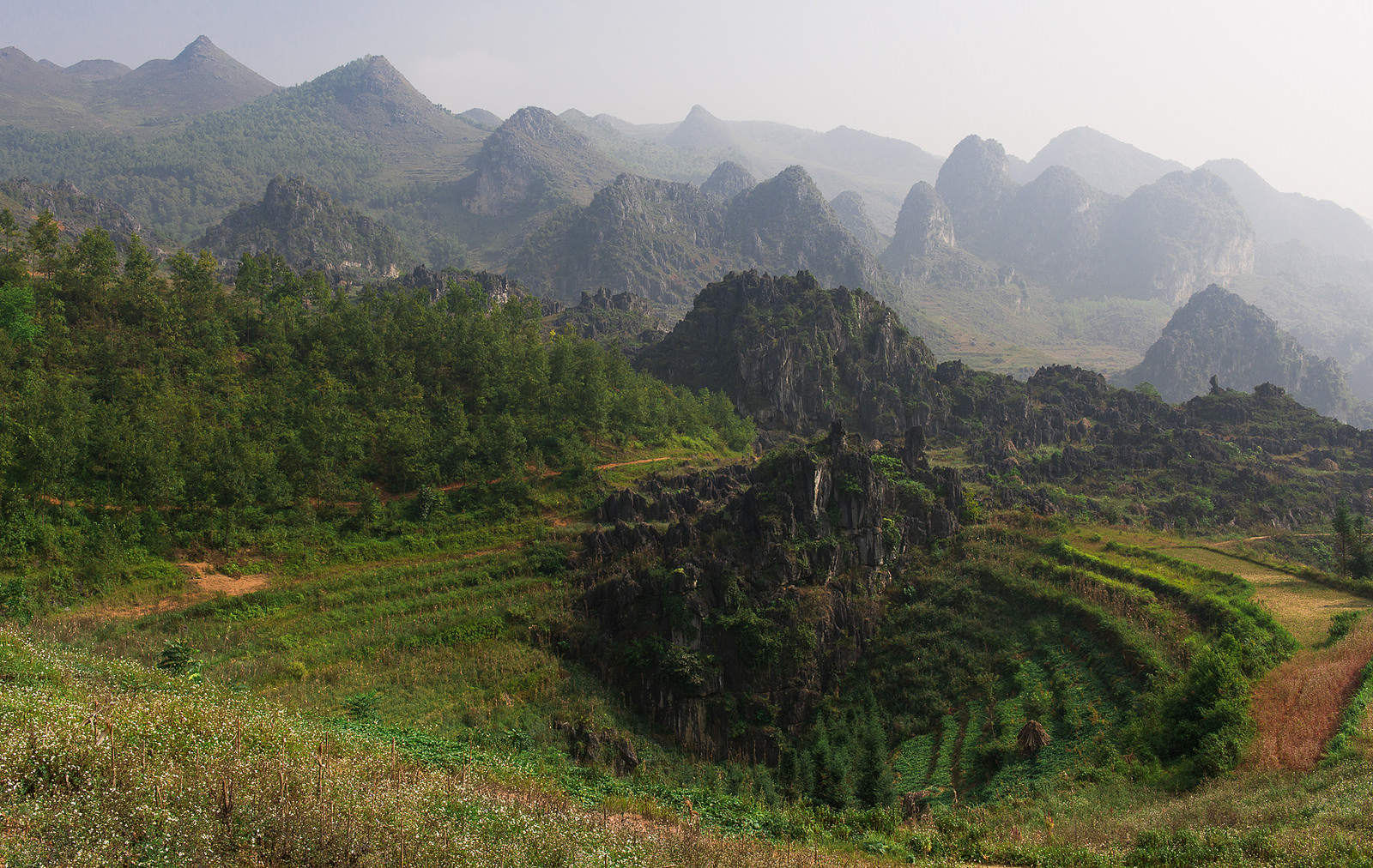 Đi tour du lịch Đông Bắc đến Hà Giang, bạn phải ghé qua mảnh đất đá nở hoa tuyệt vời như thế này.