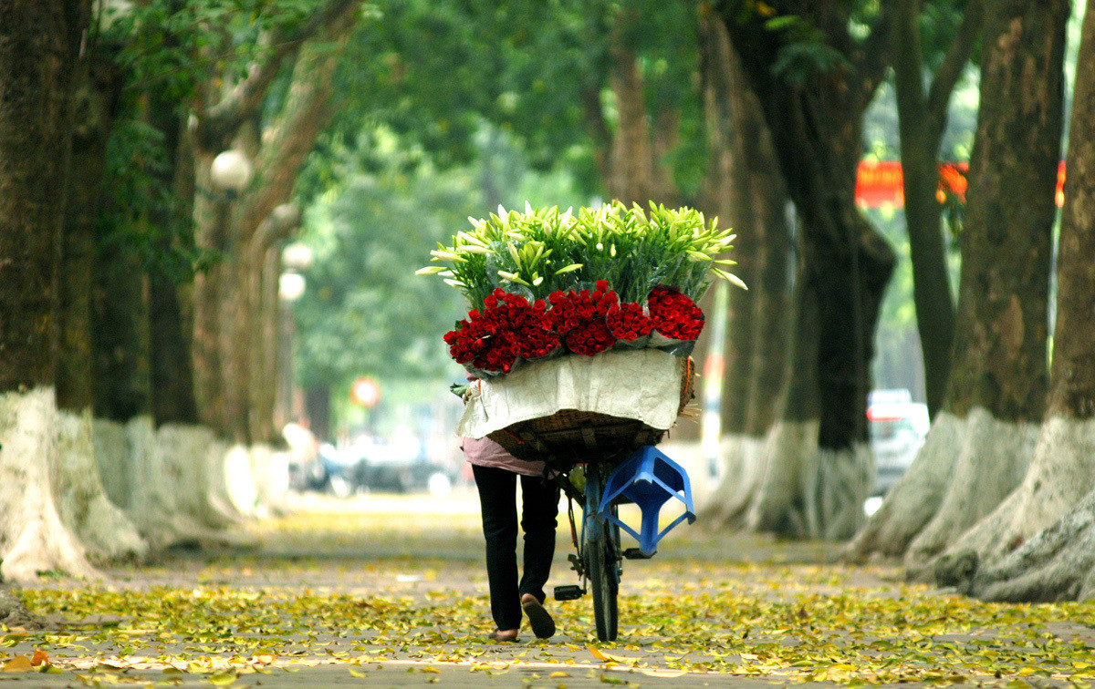 Tour Hà Nội - Du lịch Hà Nội thời điểm nào đẹp nhất