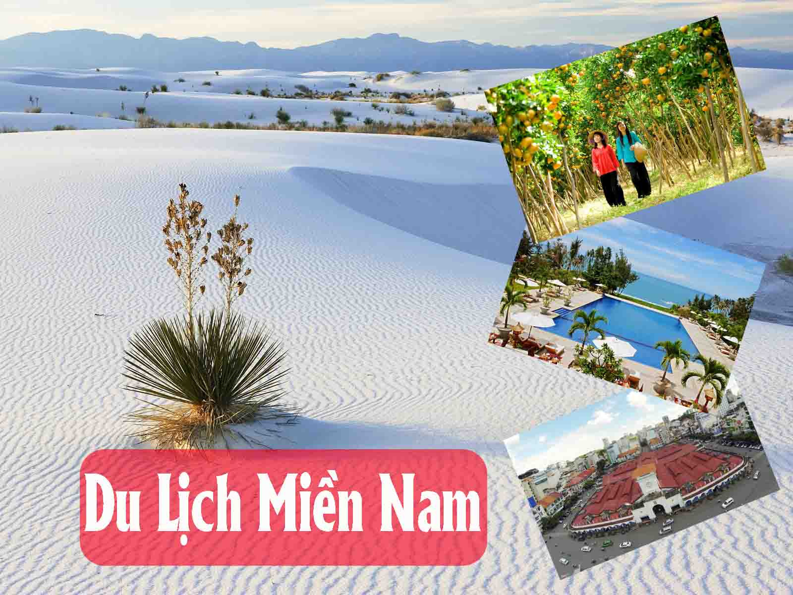 Tour du lịch miền Nam cho du khách những trải nghiệm khó quên