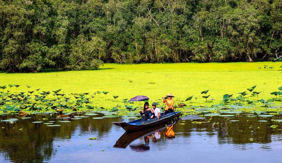 Tour du lịch miền Nam - Rừng Tràm Trà Sư