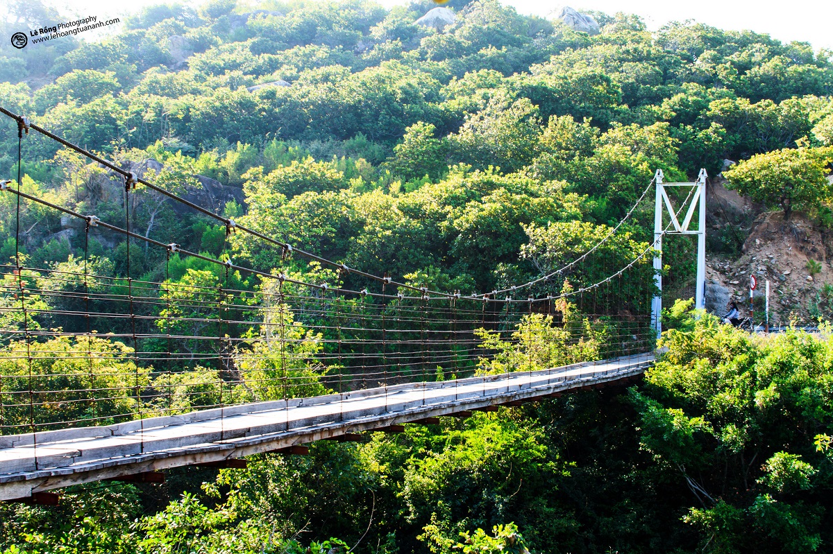 Nếu đi tour du lịch Ninh Chữ mà không thăm vườn Quốc gia Núi Chúa thì xem như chưa đi Ninh Chữ bao giờ.