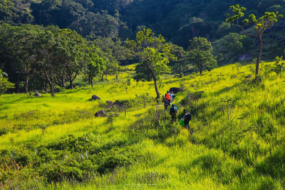 Vườn Quốc gia Núi Chúa - điểm đến tour du lịch Ninh Thuận lý tưởng cho những ai thích trekking.