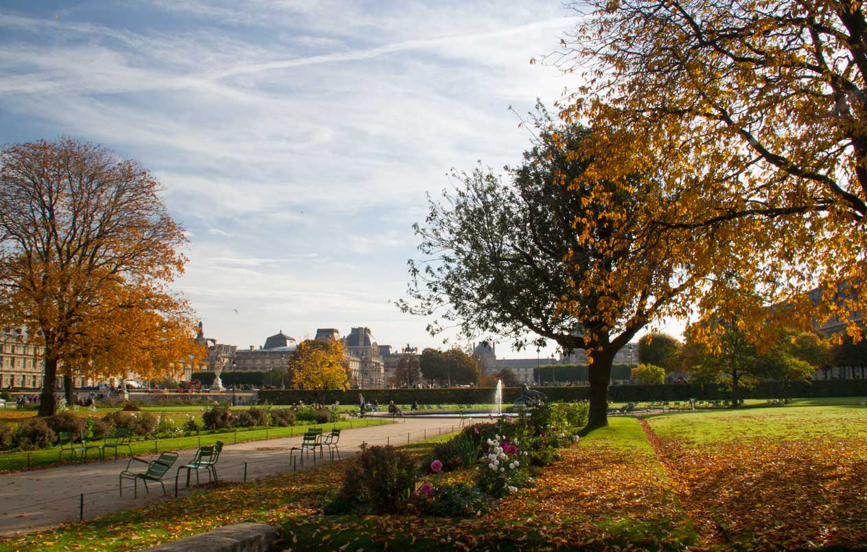 Ghé thăm vườn Tuileries khi đi tour du lịch Pháp mùa thu, bạn sẽ có cơ hội ngắm nhìn vẻ đẹp đầy lãng mạn này.