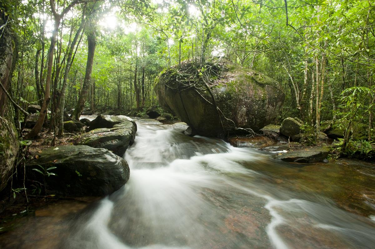 Suối Tranh đẹp như tranh vẽ - điểm đến sống ảo lý tưởng cho những ai đi tour Phú Quốc. 