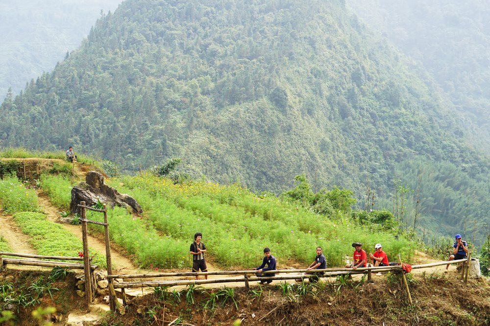 Tour Sapa - Thung lũng Mường Hoa - Nơi hội tụ những vẻ đẹp Tây Bắc