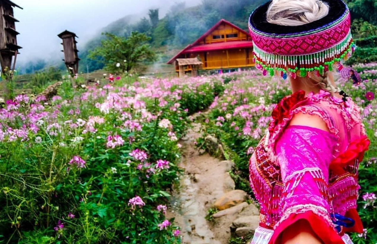 Tour Sapa mùa xuân - Lặng ngắm mùa hoa Tây Bắc rực rỡ đón nắng xuân