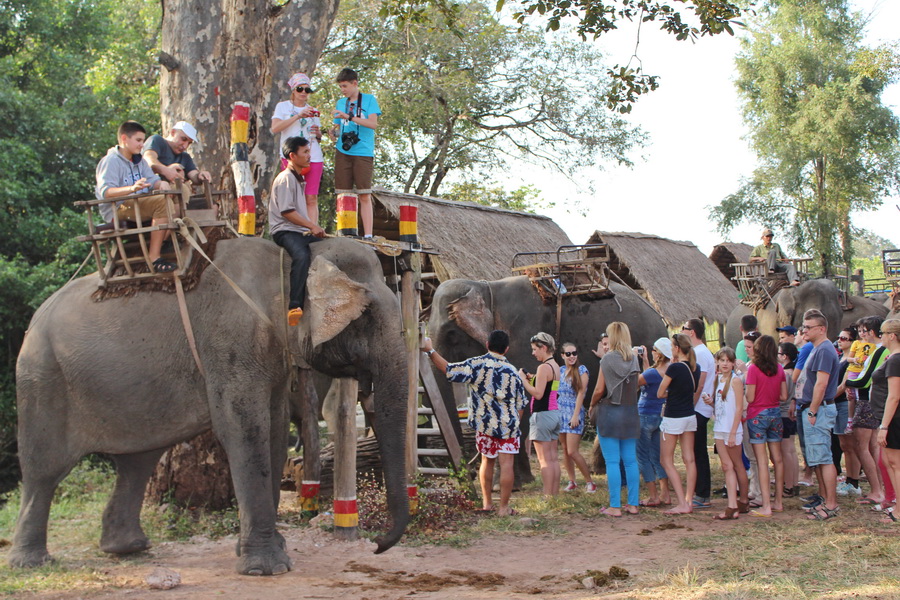 Tour Tây Nguyên - Du lịch Tây Nguyên đến Buôn Đôn cưỡi voi rừng