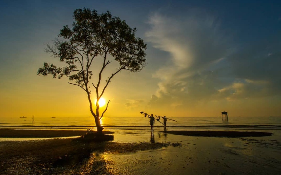 Bình minh tinh khôi trên biển Tân Thành - điểm đến tour Tiền Giang cực kỳ hấp dẫn. 